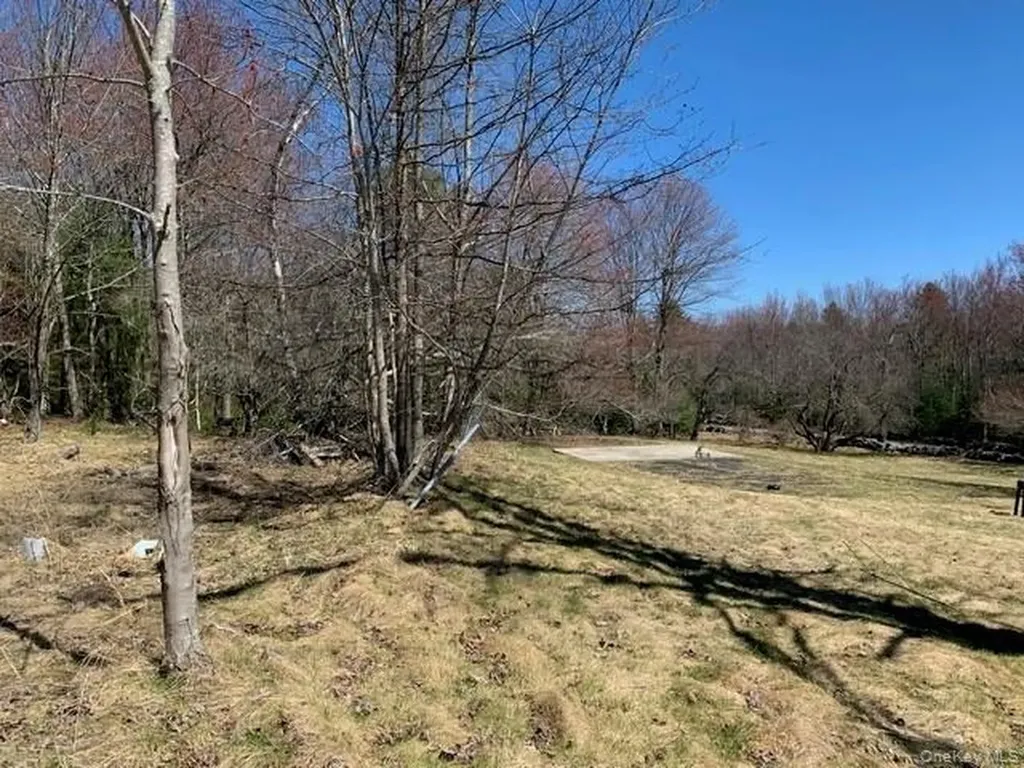 255 Wild Turnpike Rock Hill NY 12775