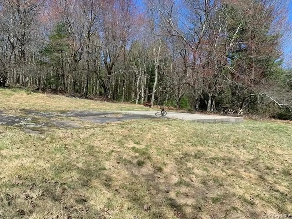 255 Wild Turnpike Rock Hill NY 12775