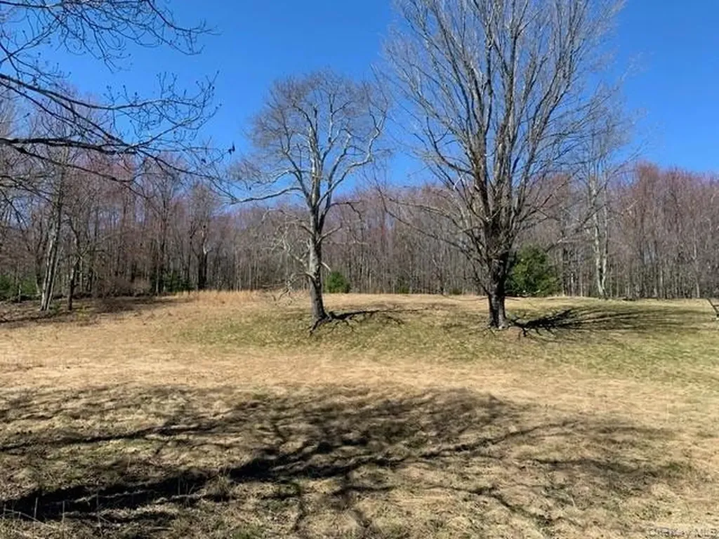 255 Wild Turnpike Rock Hill NY 12775