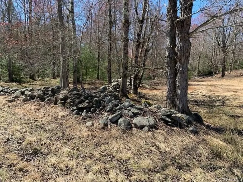 255 Wild Turnpike Rock Hill NY 12775