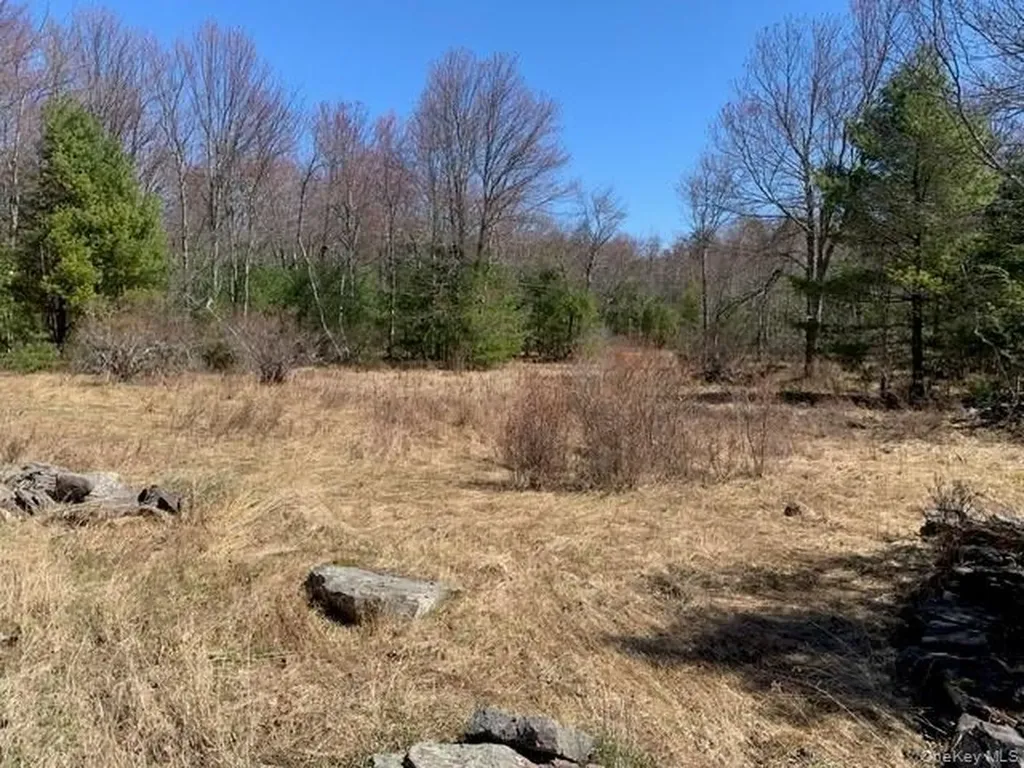 255 Wild Turnpike Rock Hill NY 12775