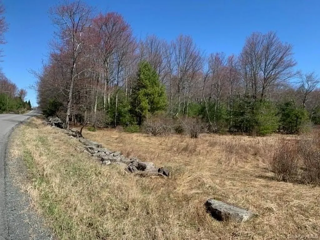 255 Wild Turnpike Rock Hill NY 12775