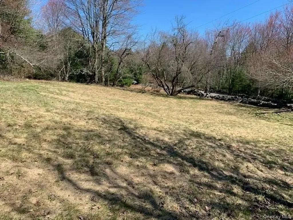 255 Wild Turnpike Rock Hill NY 12775