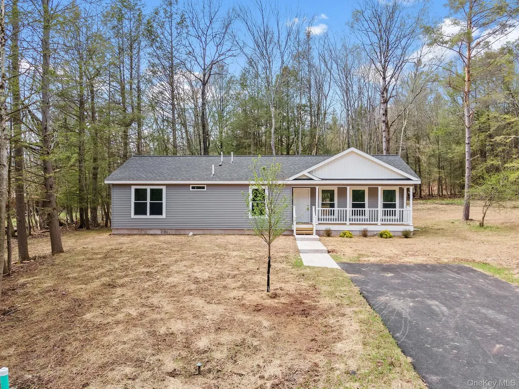 45 Pinehurst Drive W Liberty NY 12754