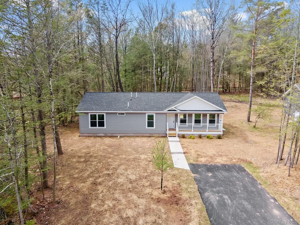 45 Pinehurst Drive W Liberty NY 12754