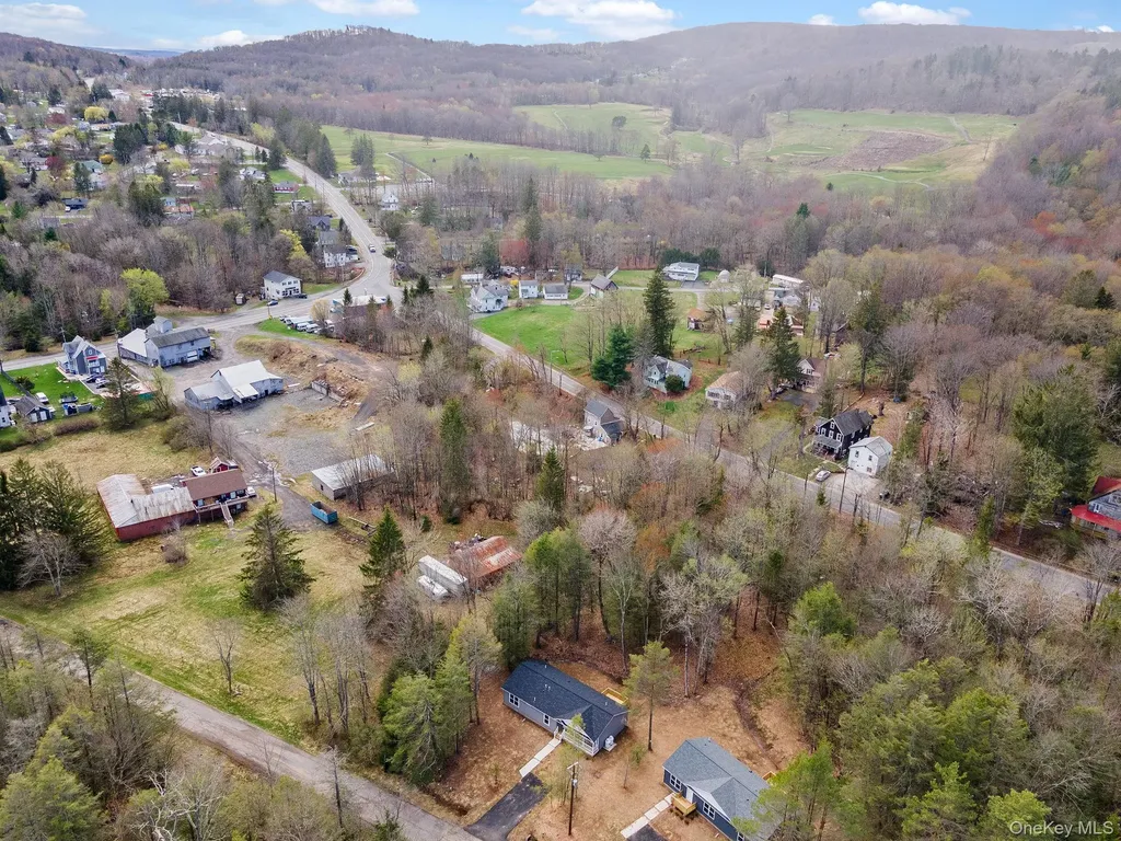45 Pinehurst Drive W Liberty NY 12754