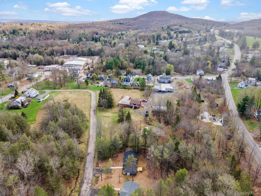 45 Pinehurst Drive W Liberty NY 12754