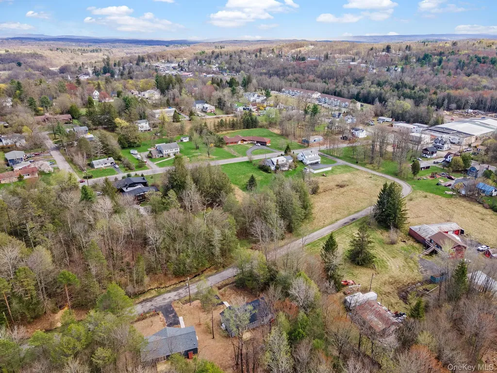 45 Pinehurst Drive W Liberty NY 12754