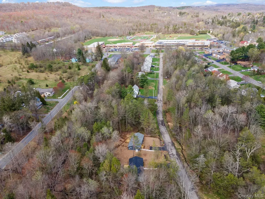 45 Pinehurst Drive W Liberty NY 12754
