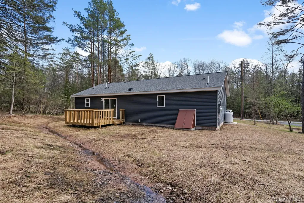 43 Pinehurst Drive E Liberty NY 12754