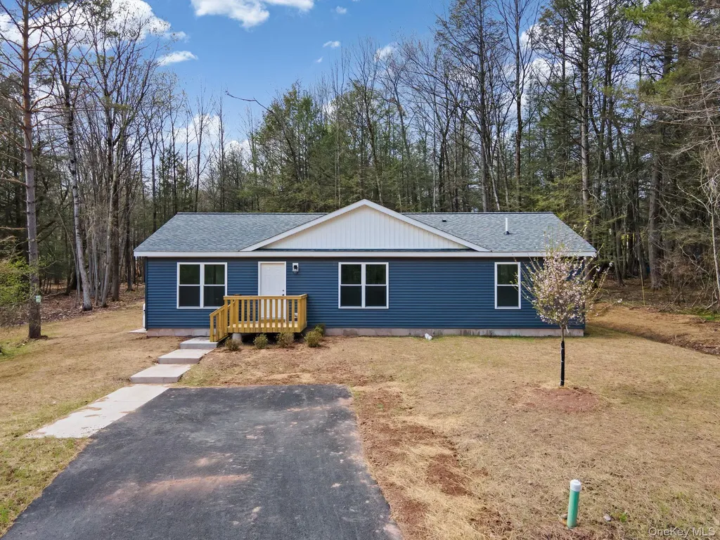 43 Pinehurst Drive E Liberty NY 12754