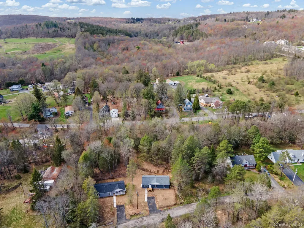 43 Pinehurst Drive E Liberty NY 12754