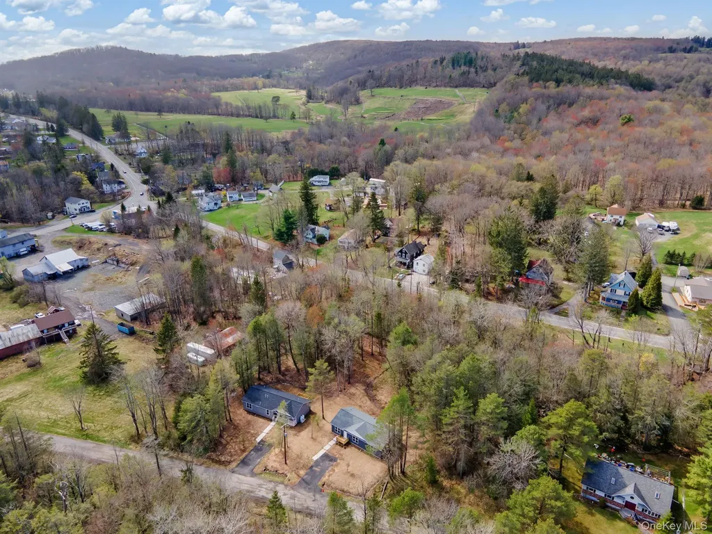 43 Pinehurst Drive E Liberty NY 12754