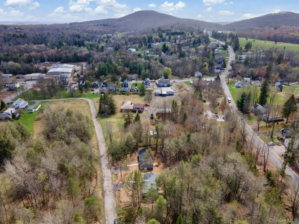 43 Pinehurst Drive E Liberty NY 12754