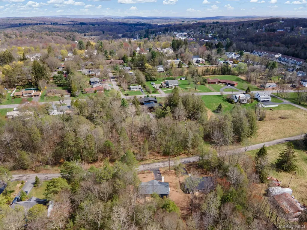 43 Pinehurst Drive E Liberty NY 12754