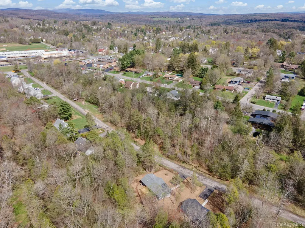43 Pinehurst Drive E Liberty NY 12754