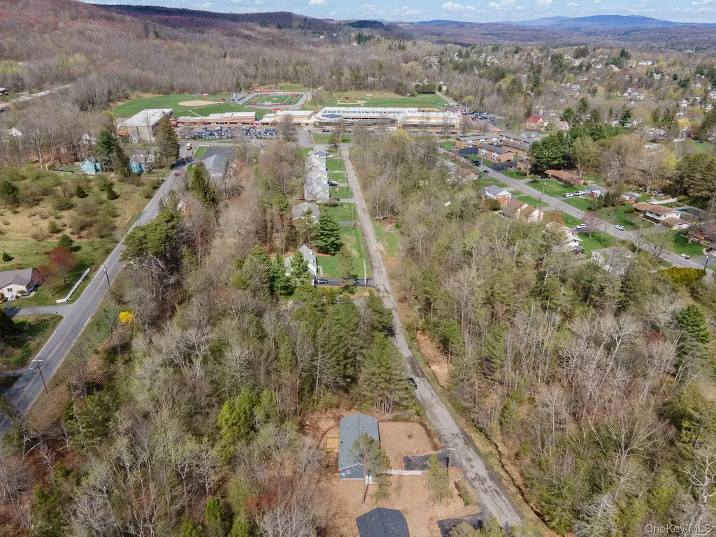 43 Pinehurst Drive E Liberty NY 12754