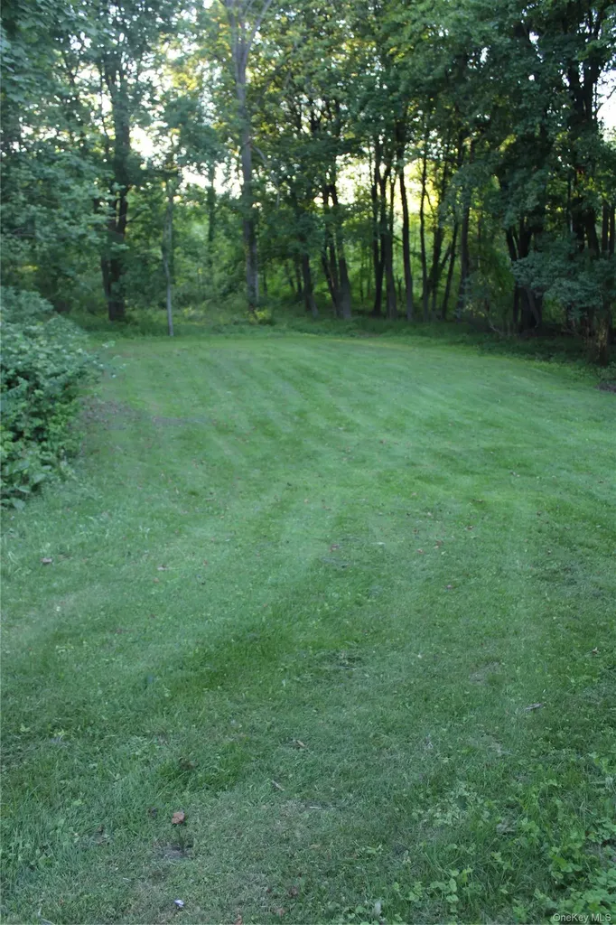163 Bower Road Pleasant Valley NY 12603