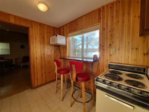 106 Park Drive Parksville NY 12768