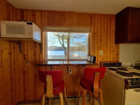 106 Park Drive Parksville NY 12768