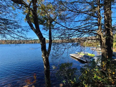 106 Park Drive Parksville NY 12768