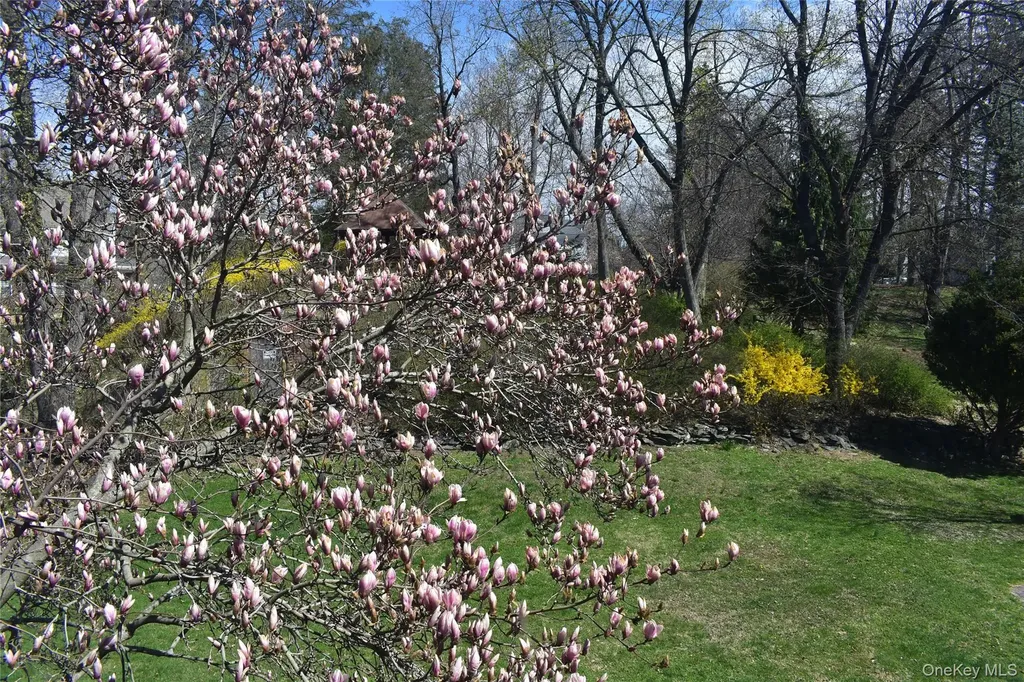 21 Rosalind Road Poughkeepsie NY 12601