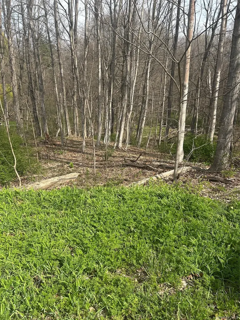E Noxon Road Lagrangeville NY 12540