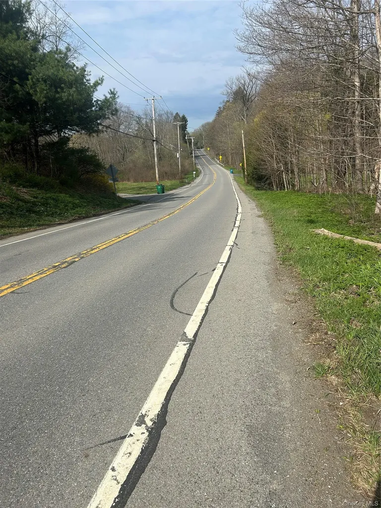 E Noxon Road Lagrangeville NY 12540