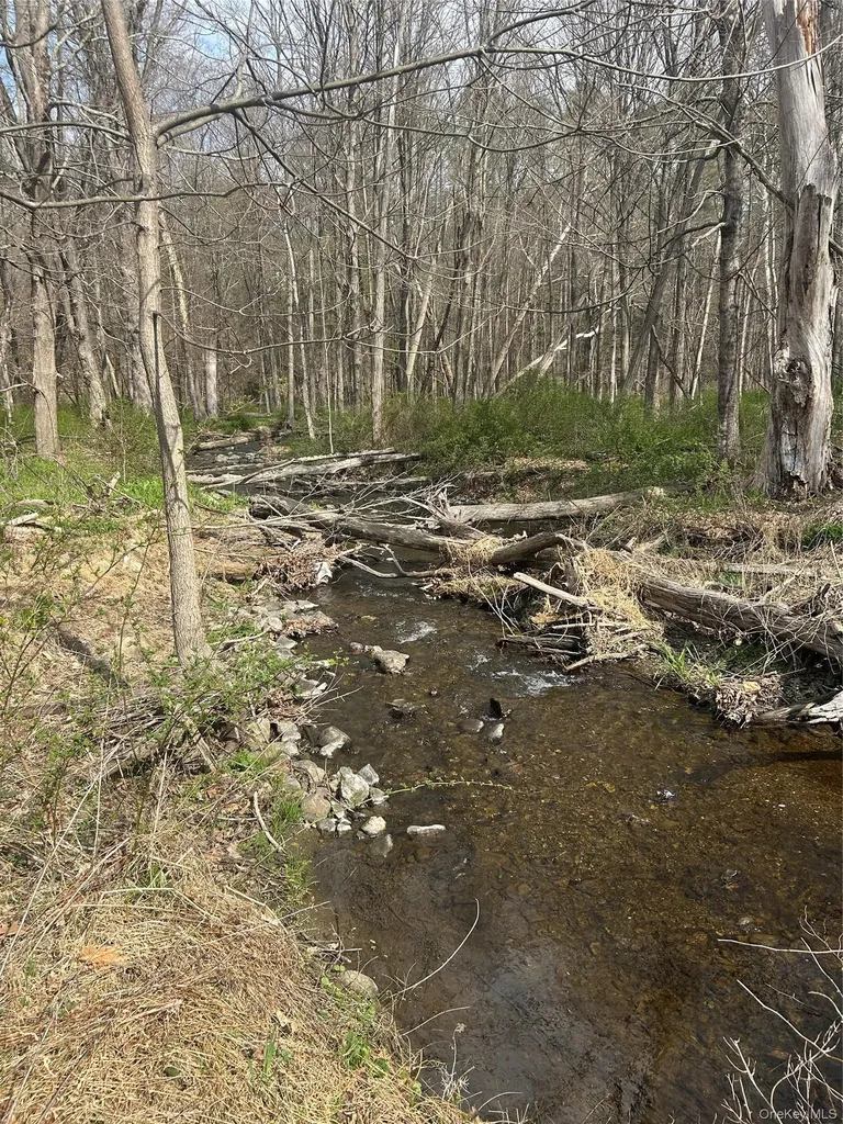 E Noxon Road Lagrangeville NY 12540