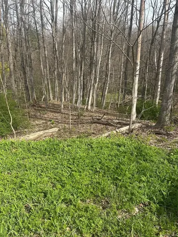 Noxon Road Lagrangeville NY 12540