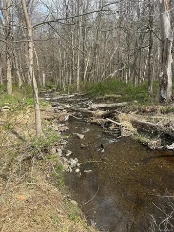 Noxon Road Lagrangeville NY 12540