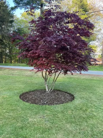 1222 Sackett Lake Road Forestburgh NY 12777