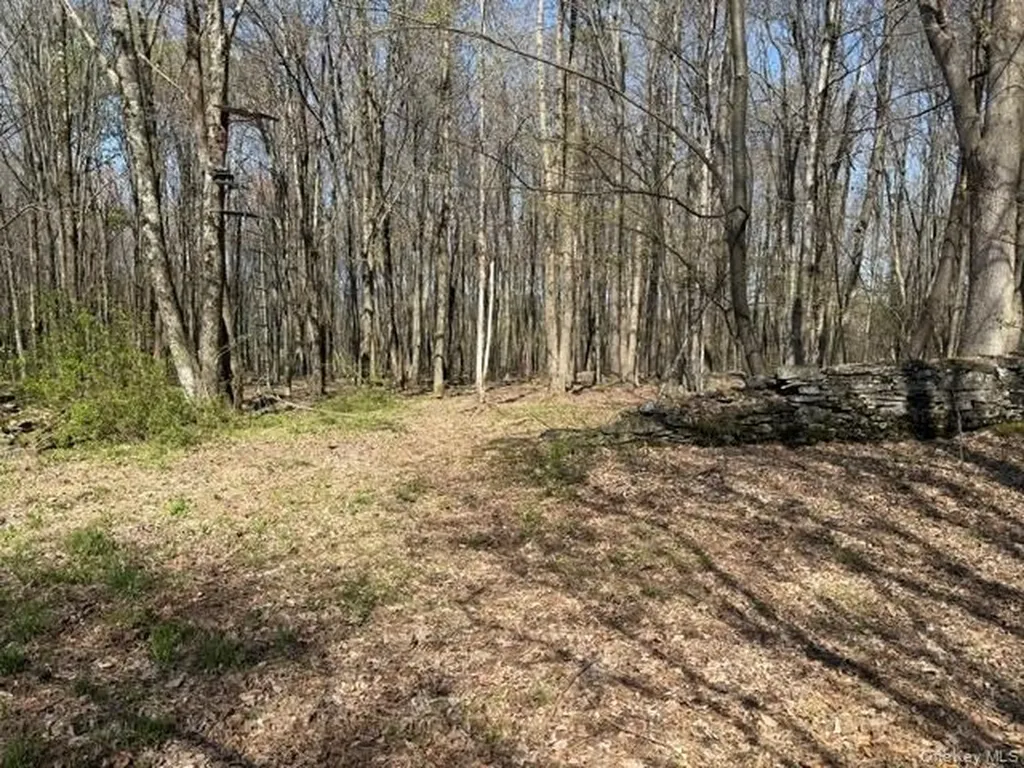 Chaffee Liberty NY 12754