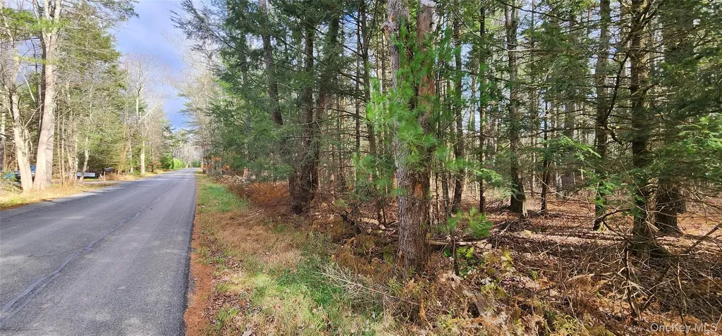 00 Mongaup Road Monticello NY 12701