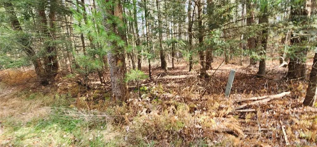 00 Mongaup Road Monticello NY 12701