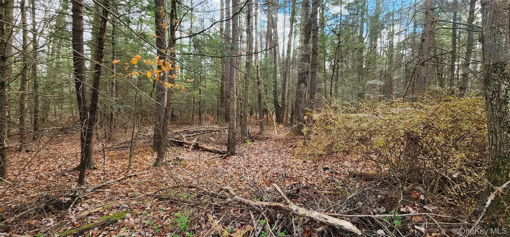 00 Mongaup Road Monticello NY 12701