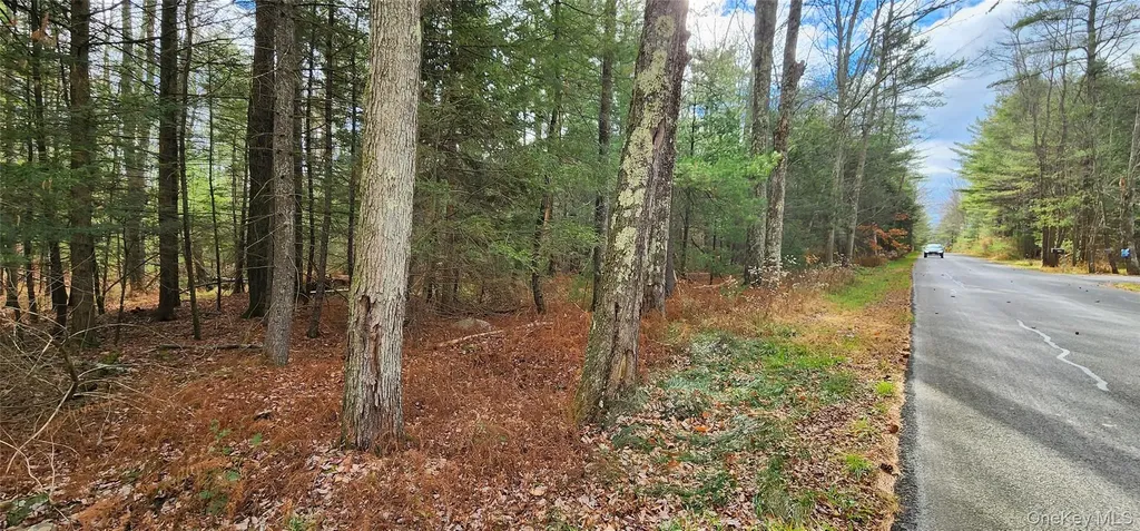 00 Mongaup Road Monticello NY 12701