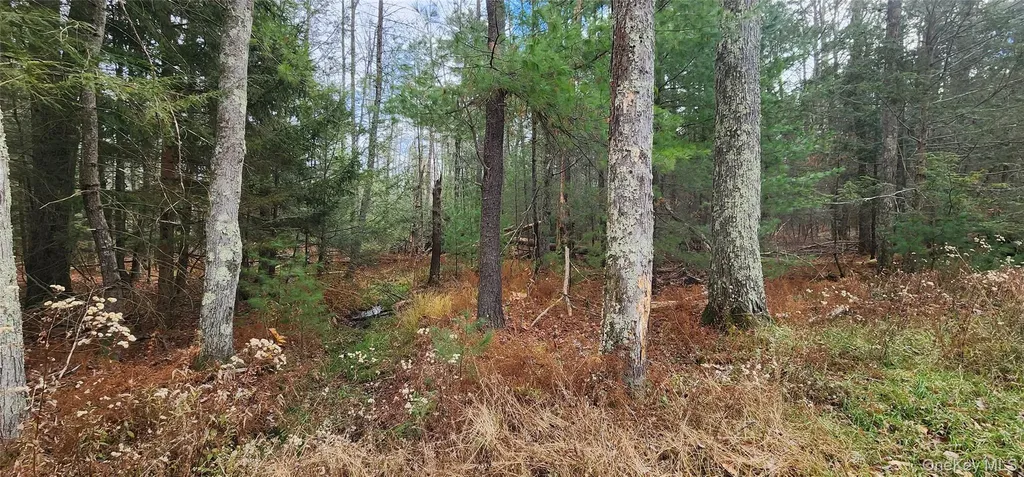 00 Mongaup Road Monticello NY 12701