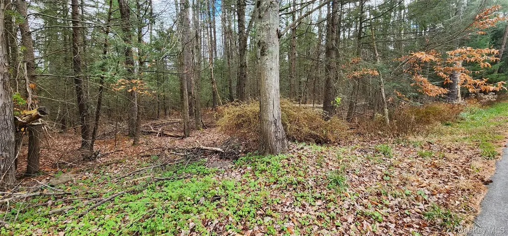 00 Mongaup Road Monticello NY 12701