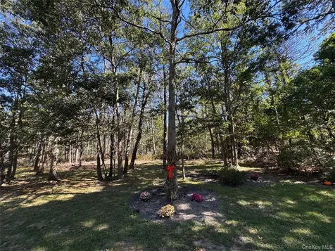 43 N Cozine Road Manorville NY 11949