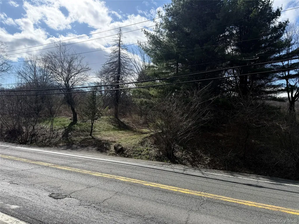 5019 Route 22 Amenia NY 12501