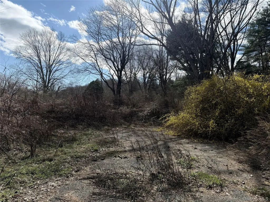 5019 Route 22 Amenia NY 12501