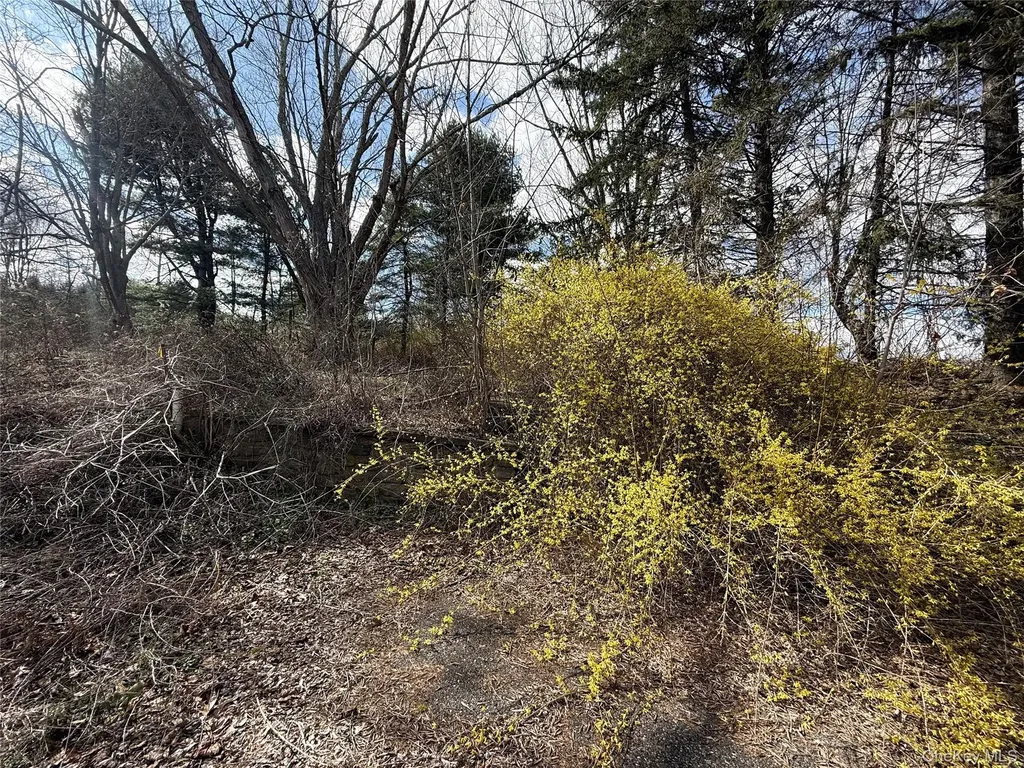 5019 Route 22 Amenia NY 12501