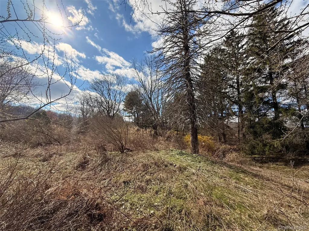 5019 Route 22 Amenia NY 12501