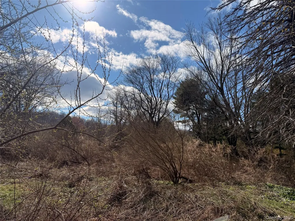 5019 Route 22 Amenia NY 12501