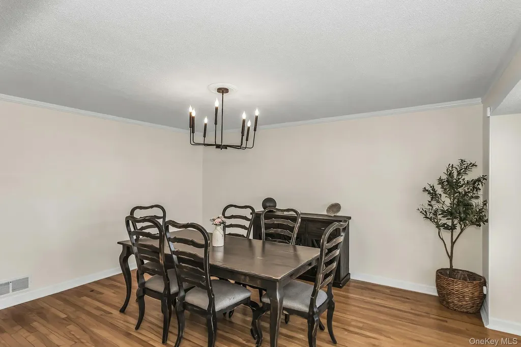 991 Ferngate Drive Franklin Square NY 11010
