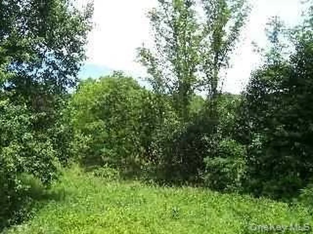 21 Broadway Tivoli NY 12583
