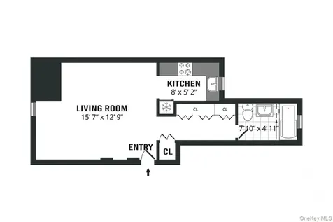 9 Argyle Road Brooklyn NY 11218