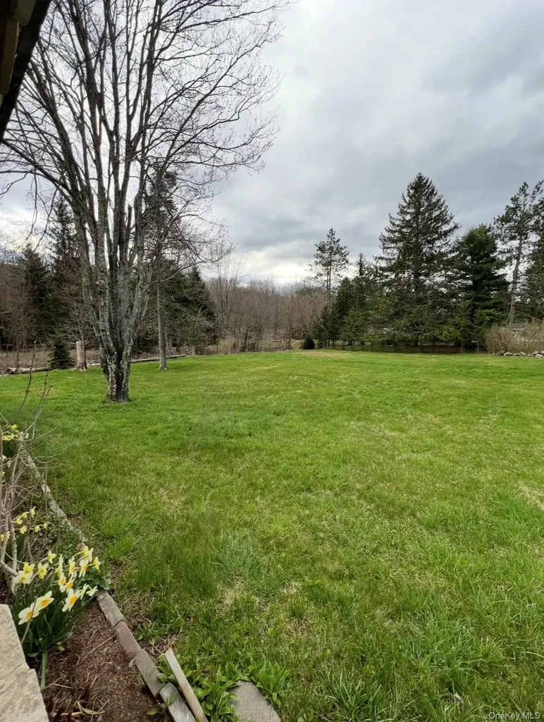 542 Mitchell Hollow Road Windham NY 12496