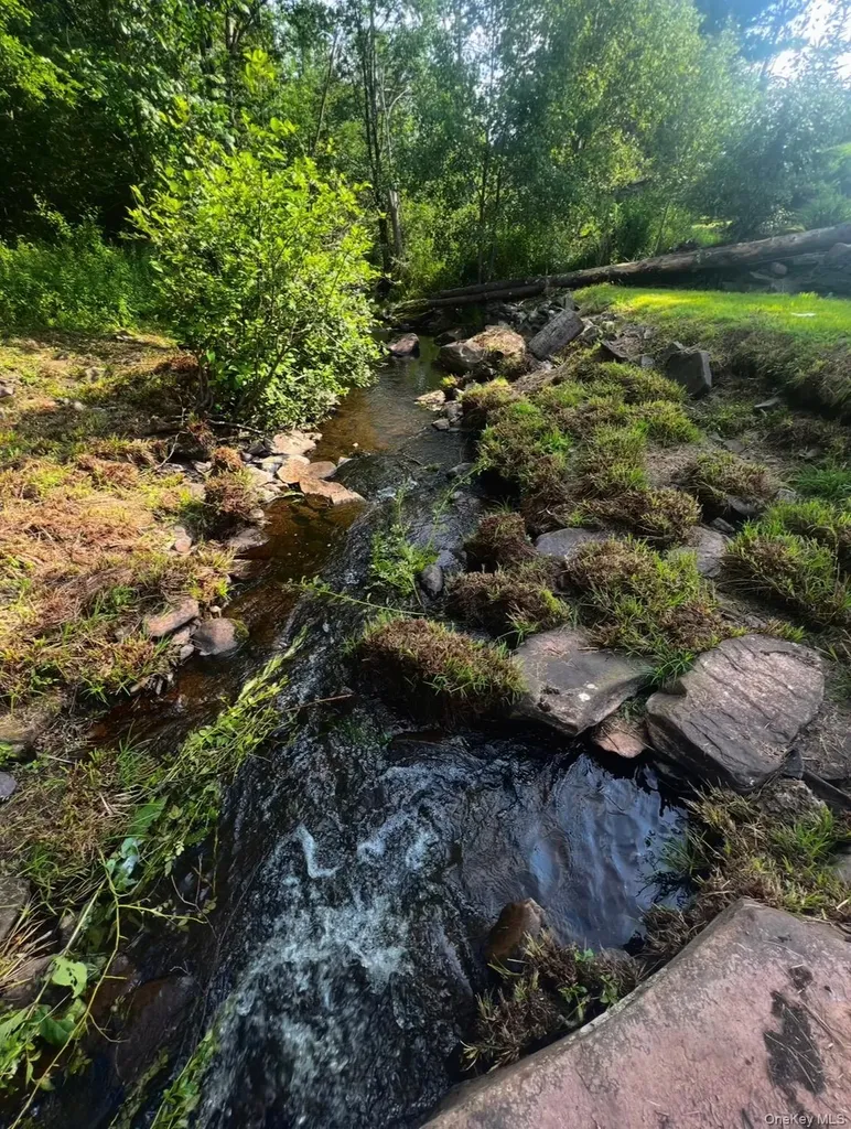 542 Mitchell Hollow Road Windham NY 12496